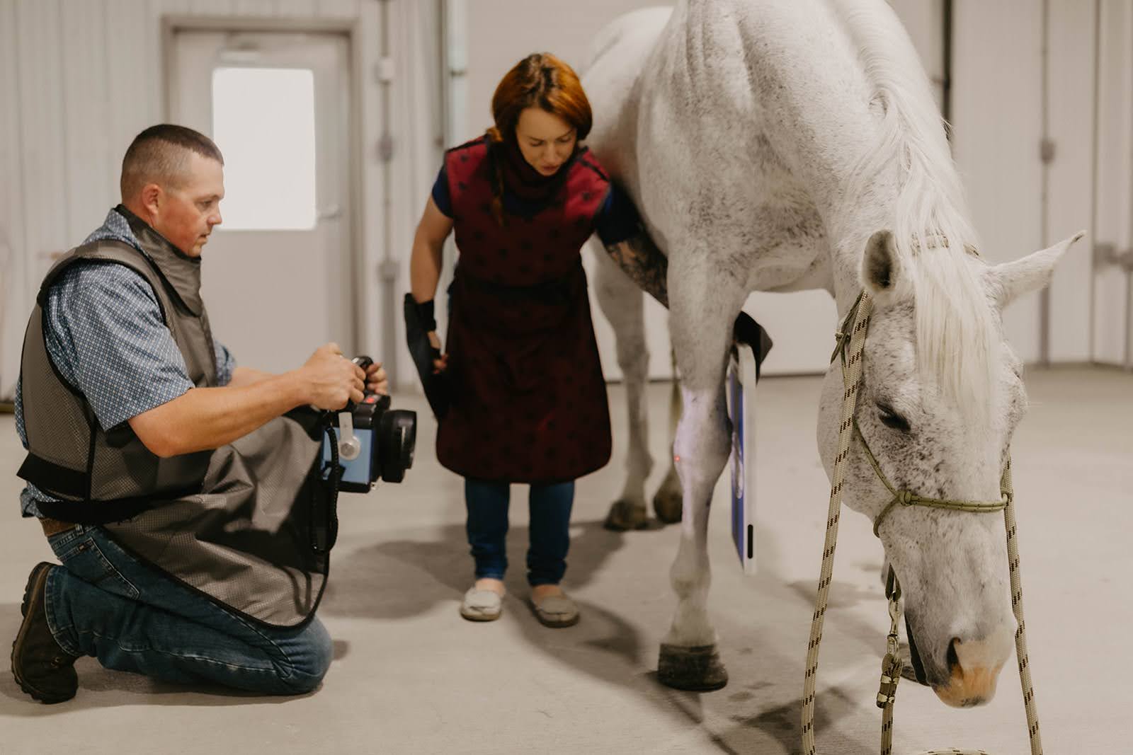 veterinarian and technician take x-rays of a horse in southern saskatchewan during a brand photography session.