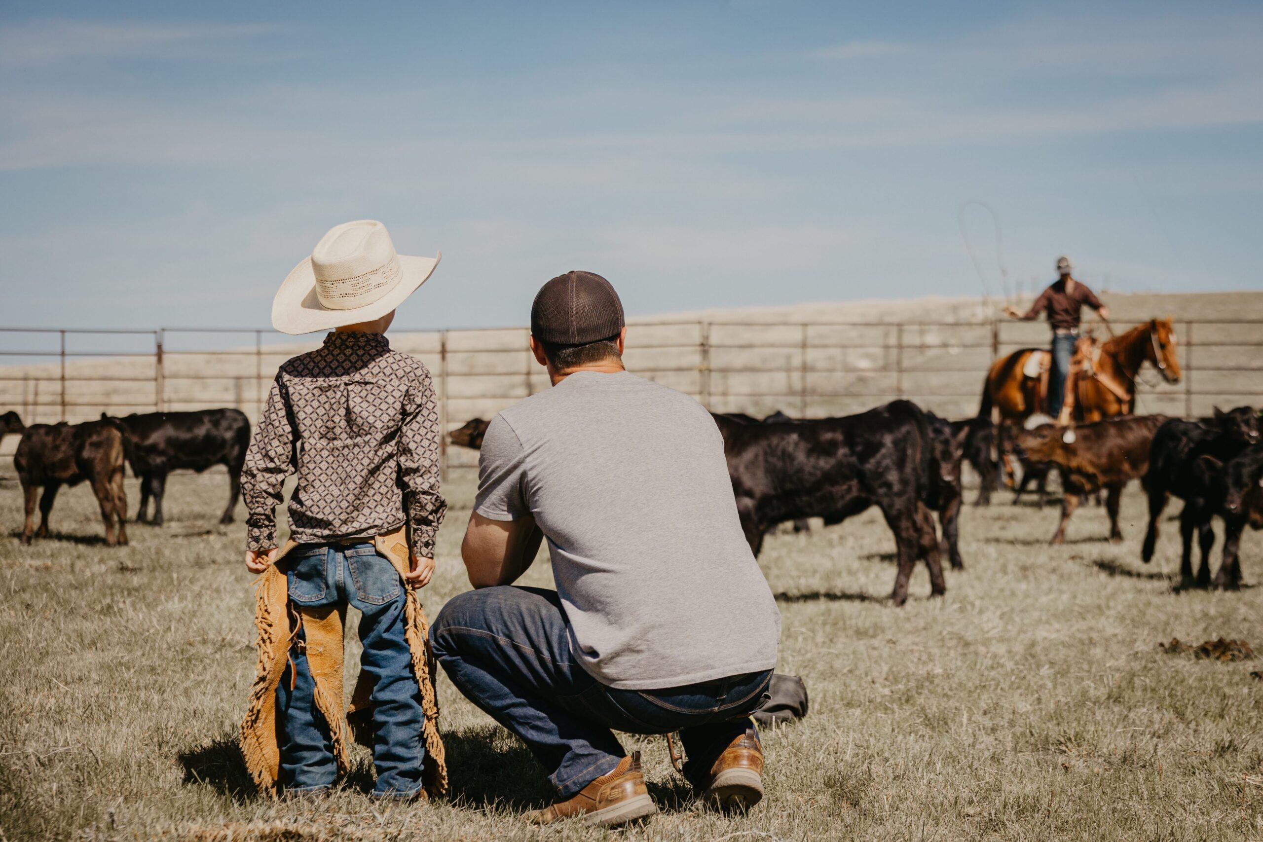 dad and son look at cattle on a saskatchewan ranch