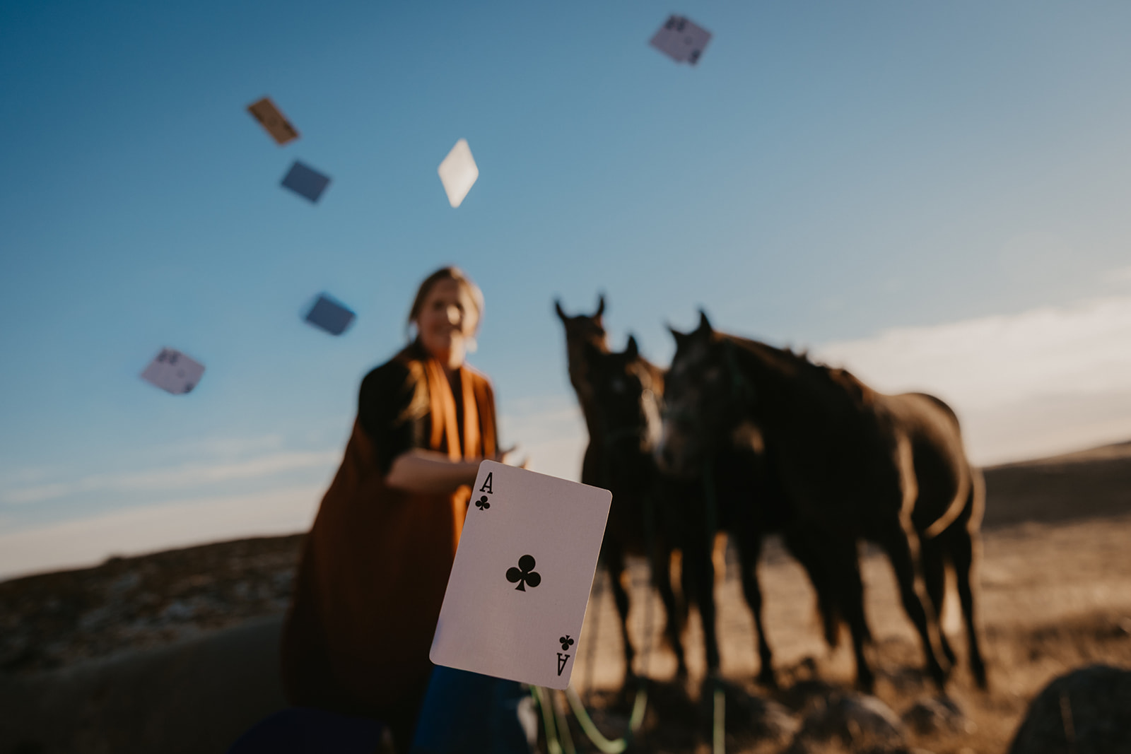 saskatchewan bran photographer